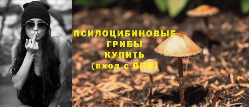 ОМГ ОМГ ссылка  Костомукша  Псилоцибиновые грибы Psilocybine cubensis  купить наркотики цена 